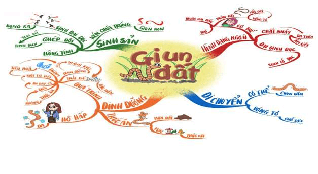 sơ đồ tư duy về giun đất