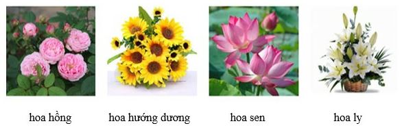 Đề thi học kì 2 môn Tiếng Việt lớp 1 sách Chân trời Số 3