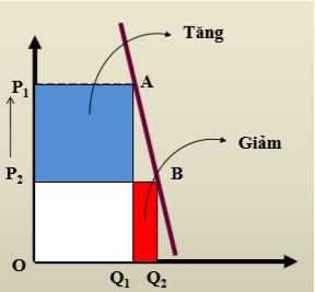 Câu hỏi ôn thi môn Kinh tế vi mô - Chương 3