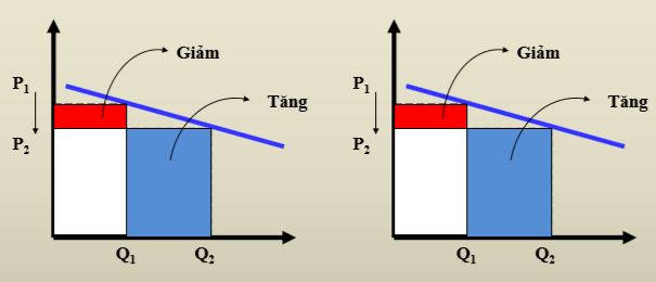 Câu hỏi ôn thi môn Kinh tế vi mô - Chương 3