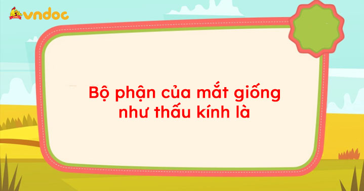 Bộ phận của mắt giống như thấu kính là - Mắt - Các tật của mắt và cách khắc phục