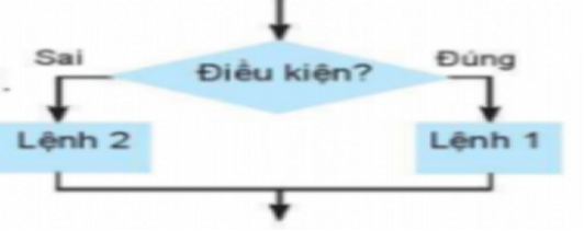 Đề thi học kì 2 môn Tin hoc lớp 6 KNTT
