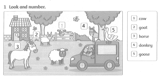 Family and Friends 3 Workbook Unit 11 Lesson 1