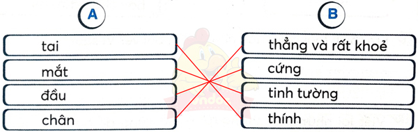 Bài 10: Khủng long