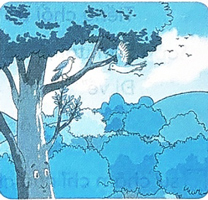 Bài 13: Tiếng chổi tre