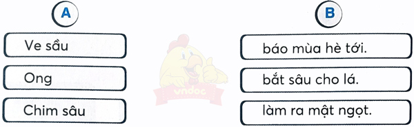 Bài 16: Tạm biệt cánh cam