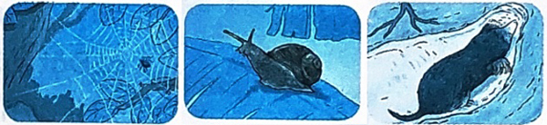 Bài 16: Tạm biệt cánh cam