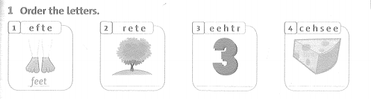 Family and Friends 3 Workbook Unit 11 Lesson 4