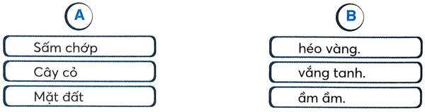 Bài 27: Chuyện quả bầu