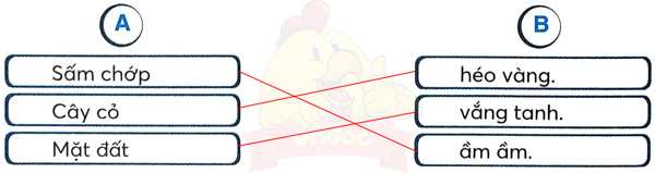 Bài 27: Chuyện quả bầu