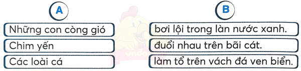 Bài 28: Khám phá đáy biển ở Trường Sa