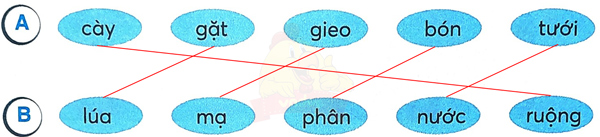Bài 30: Cánh đồng quê em