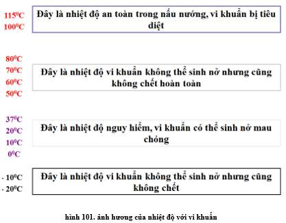 Ảnh hưởng của nhiệt độ đối với vi khuẩn