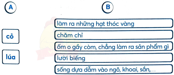 Ôn tập và đánh giá cuối học kì 1 - Tiết 9, 10