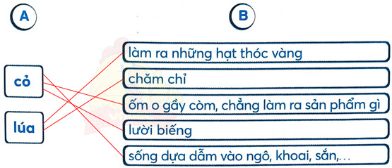 Ôn tập và đánh giá cuối học kì 1 - Tiết 9, 10