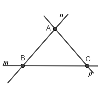 Bài 3 trang 78 Toán 6 tập 2 SGK Chân trời sáng tạo