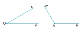 Bài 3 trang 91 Toán 6 tập 2 SGK Chân trời sáng tạo