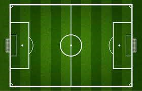 Bài 12 trang 103 Toán 6 tập 2 SGK Cánh Diều