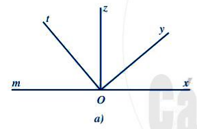 Bài 8 trang 101 Toán 6 tập 2 SGK Cánh Diều
