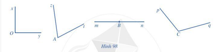 Bài 8 trang 103 Toán 6 tập 2 SGK Cánh Diều