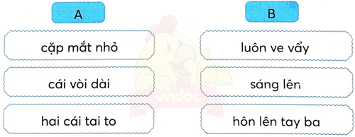 Ôn tập giữa học kì 2 - Ôn tập 5