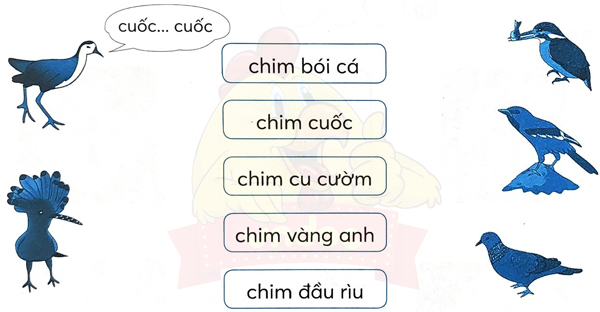Bài 1: Chuyện quả bầu