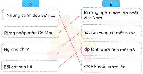 Bài 2: Sóng và cát ở Trường Sa