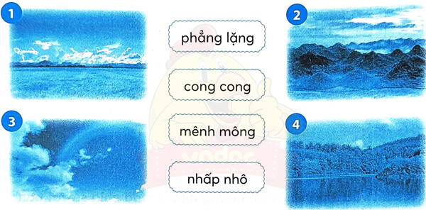 Bài 1: Cây nhút nhát