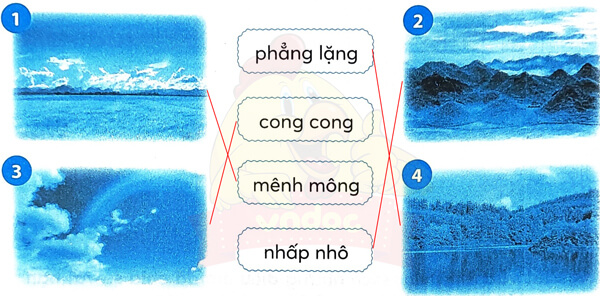 Bài 1: Cây nhút nhát