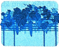 Bài 6: Cuộc giải cứu bên bờ biển