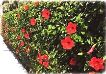 Bài 3: Làng gốm Bát Tràng