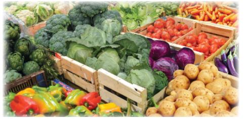 Toán lớp 2 Tập 2 trang 112 Đất nước em