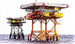 Bài 1: Khu rừng kì lạ dưới đáy biển