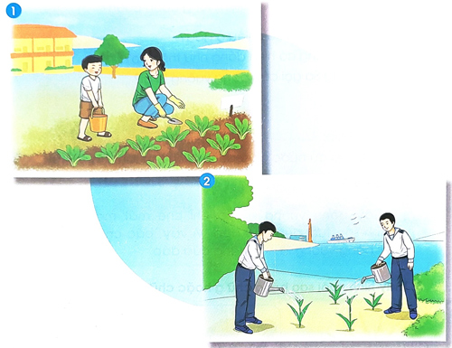 Bài 3: Nữ hoàng của đảo