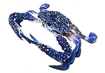 Bài 3: Nữ hoàng của đảo