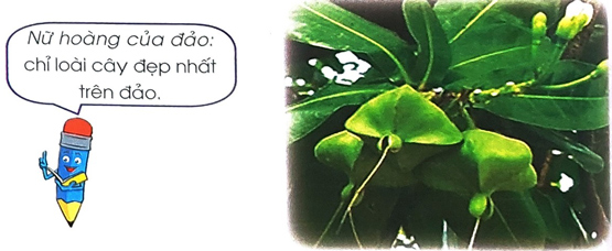 Bài 3: Nữ hoàng của đảo