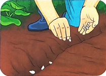 Bài 3: Kì nghỉ hè của em