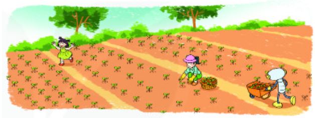 Bài 3 (trang 92 SGK Toán 2 tập 2)