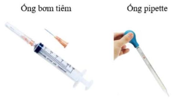 Trắc nghiệm Khoa học tự nhiên lớp 6 - Bài 2 (Sách Kết nối tri thức)