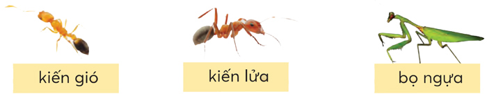 Bài 3: Chuyện xây nhà