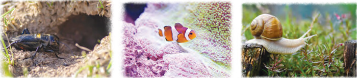 Bài 3: Chuyện xây nhà