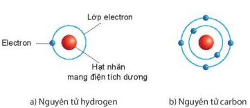 Hình 2.2 SGK KHTN 7 Kết nối tri thức