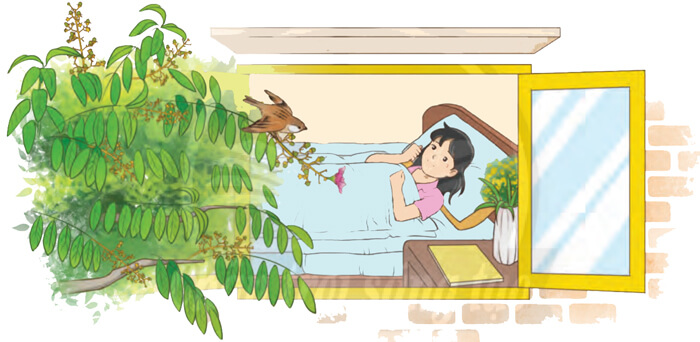 Bài 1: Chú sẻ và bông hoa bằng lăng