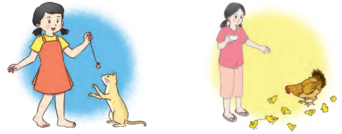 Bài 2: Thư thăm bạn