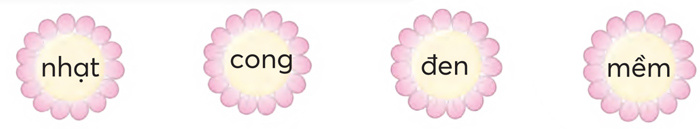 Ôn tập cuối học kì 1 - Tiết 2