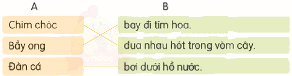 Bài 2: Về thăm quê - Luyện tập
