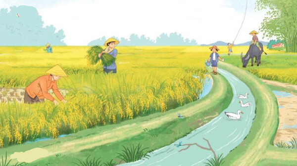 Bài 2: Về thăm quê - Luyện tập