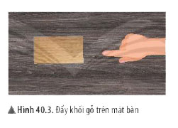 Giải KHTN lớp 6 bài 40 Hình 40.3