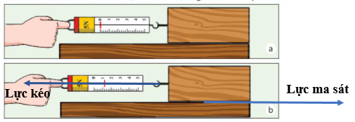 Giải KHTN lớp 6 Bài 40: Lực ma sát