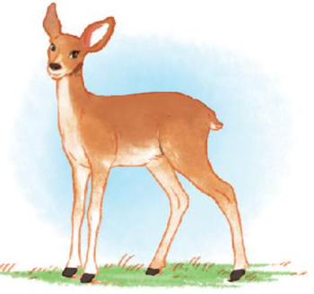 Bài 4: Lần đầu ra biển - Luyện tập